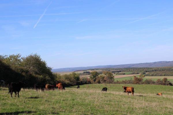 Au Chant Du Coq Wancennes Luaran gambar